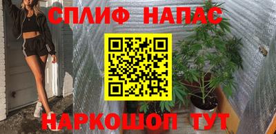 прущие грибы Мариинск
