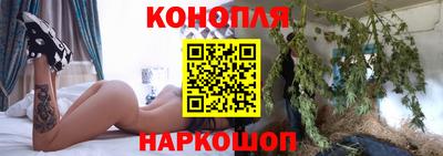 прущие грибы Мариинск