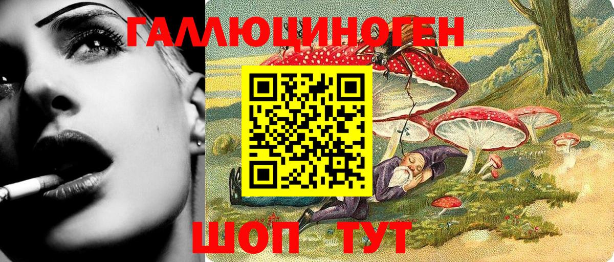 Джанкой  Галлюциногенные грибы MAGIC MUSHROOMS  Вход с VPN  Псилоцибиновые грибы Psilocybine cubensis 