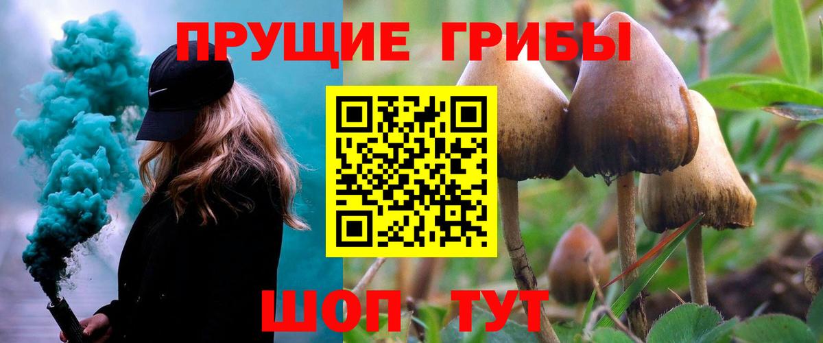 Псилоцибиновые грибы мухоморы Джанкой